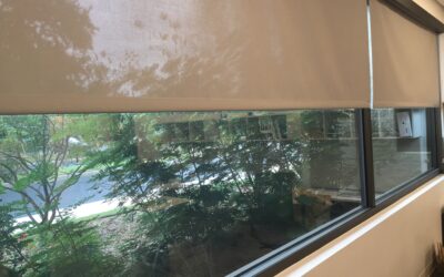 Choosing the Right Commercial Window Shades