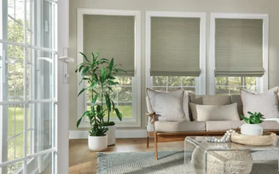 Natural Window Treatments to Boost Office Productivity