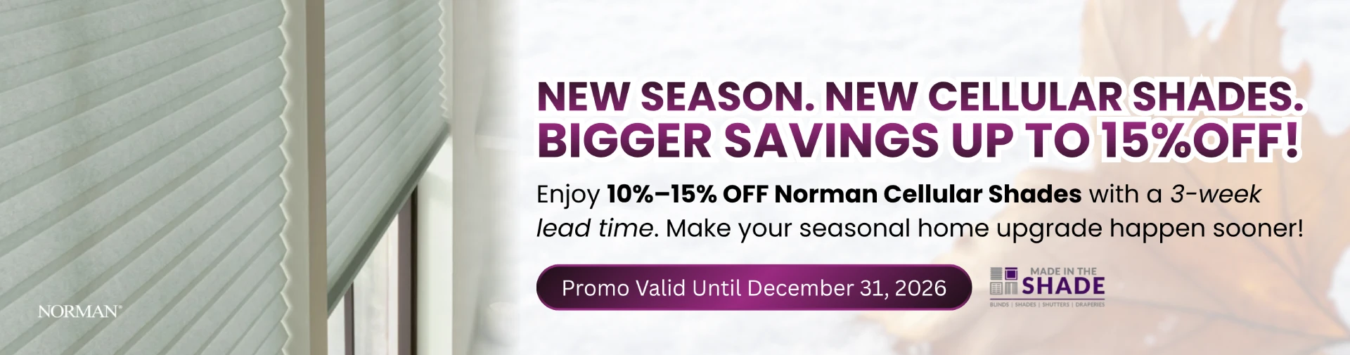 FALL TO WINTER PROMO - DESIGN 1C
