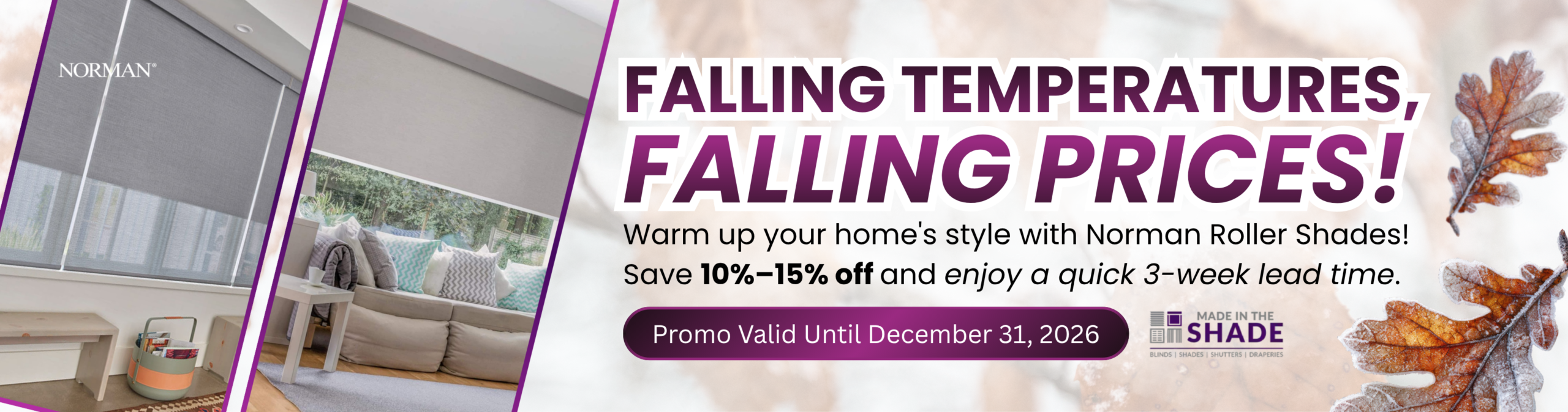 FALL TO WINTER PROMO (ROLLER SHADES)